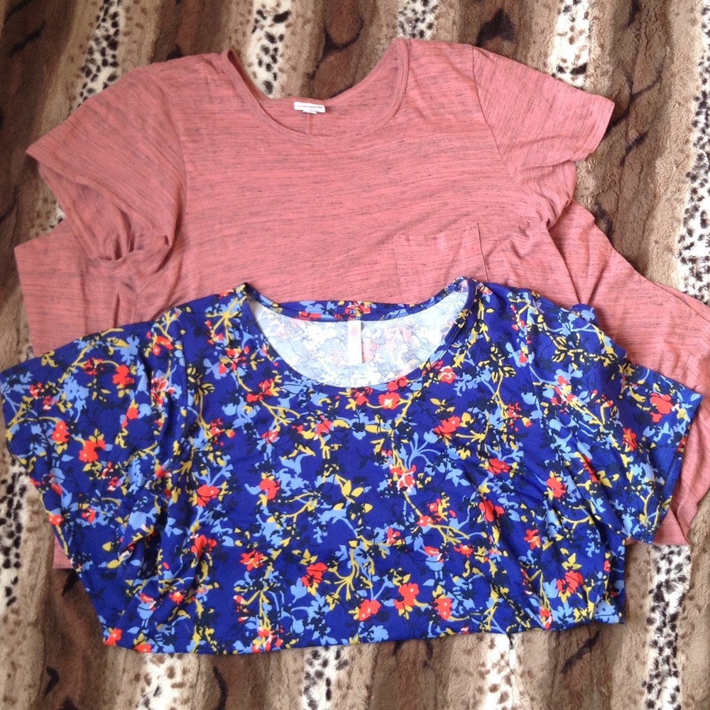 LuLaRoe Bundle | Carly Dress & Classic Tee